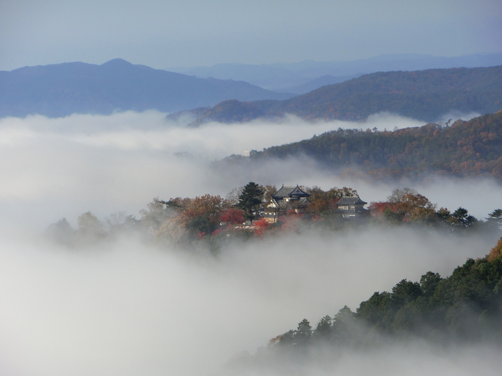 雲海に浮かぶ天空の城 備中松山城 Mt Keyさんの備中松山城の活動データ Yamap ヤマップ
