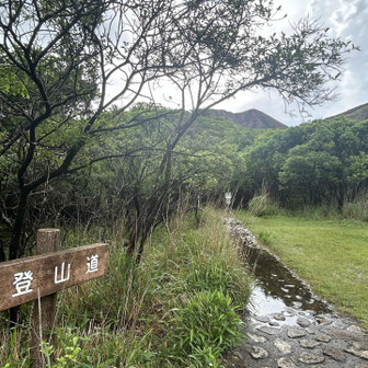 スタートします🚶