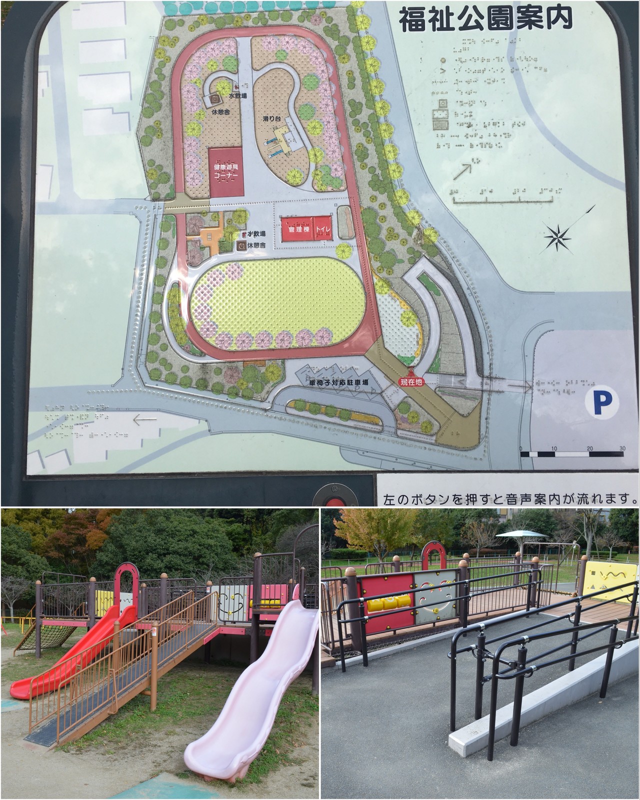 269 金比羅山 戸畑区最高峰登頂で Kitaq７サミッツ達成 てつ みー なな さんの北九州市 小倉北区 戸畑区 八幡東区 の活動日記 Yamap ヤマップ