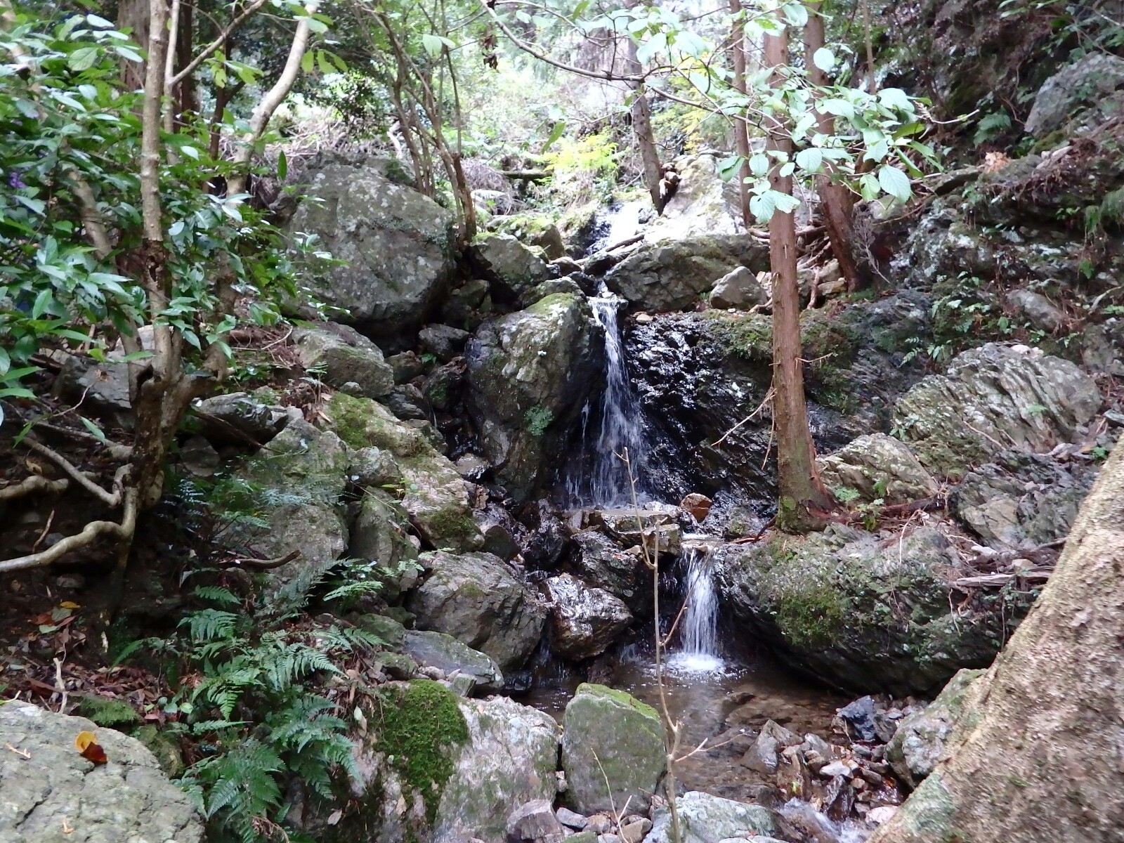昇龍の滝を見に行く てるちゃんさんの牛草山 神岳の活動日記 Yamap ヤマップ