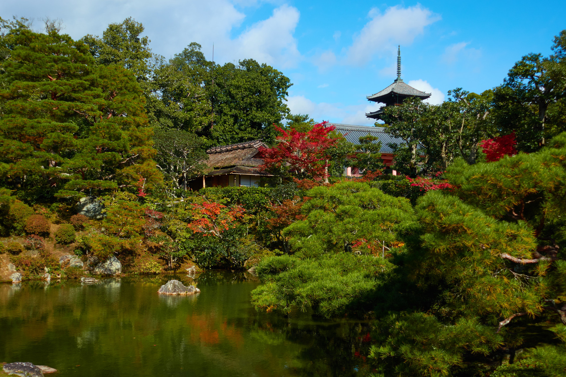 嵐山駅 広沢池 仁和寺 ノボリーさんの京都一周トレイルの活動データ Yamap ヤマップ