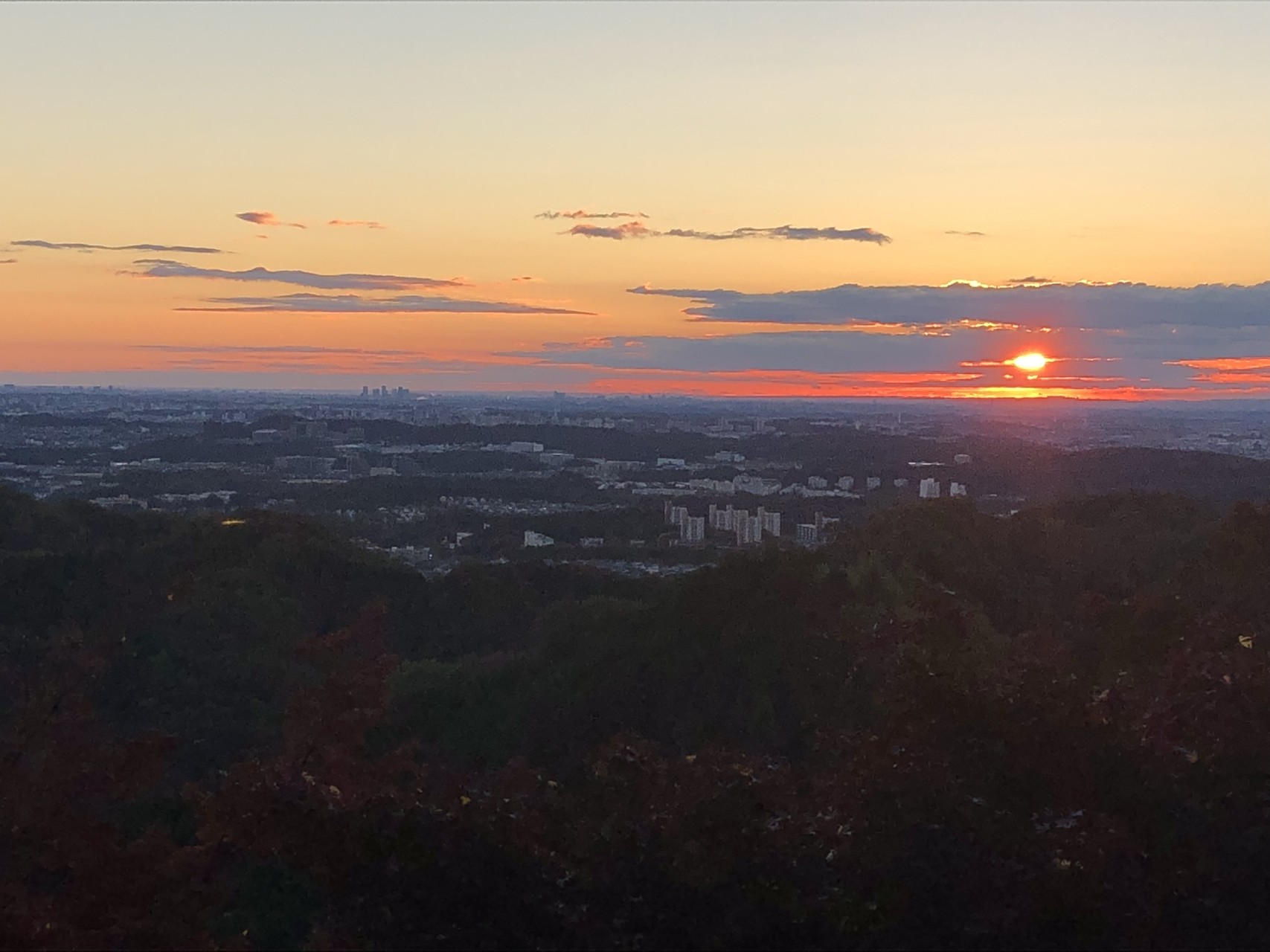 高尾山 日の出と紅葉と富士山 にゃんこさんの高尾山 陣馬山 景信山の活動データ Yamap ヤマップ