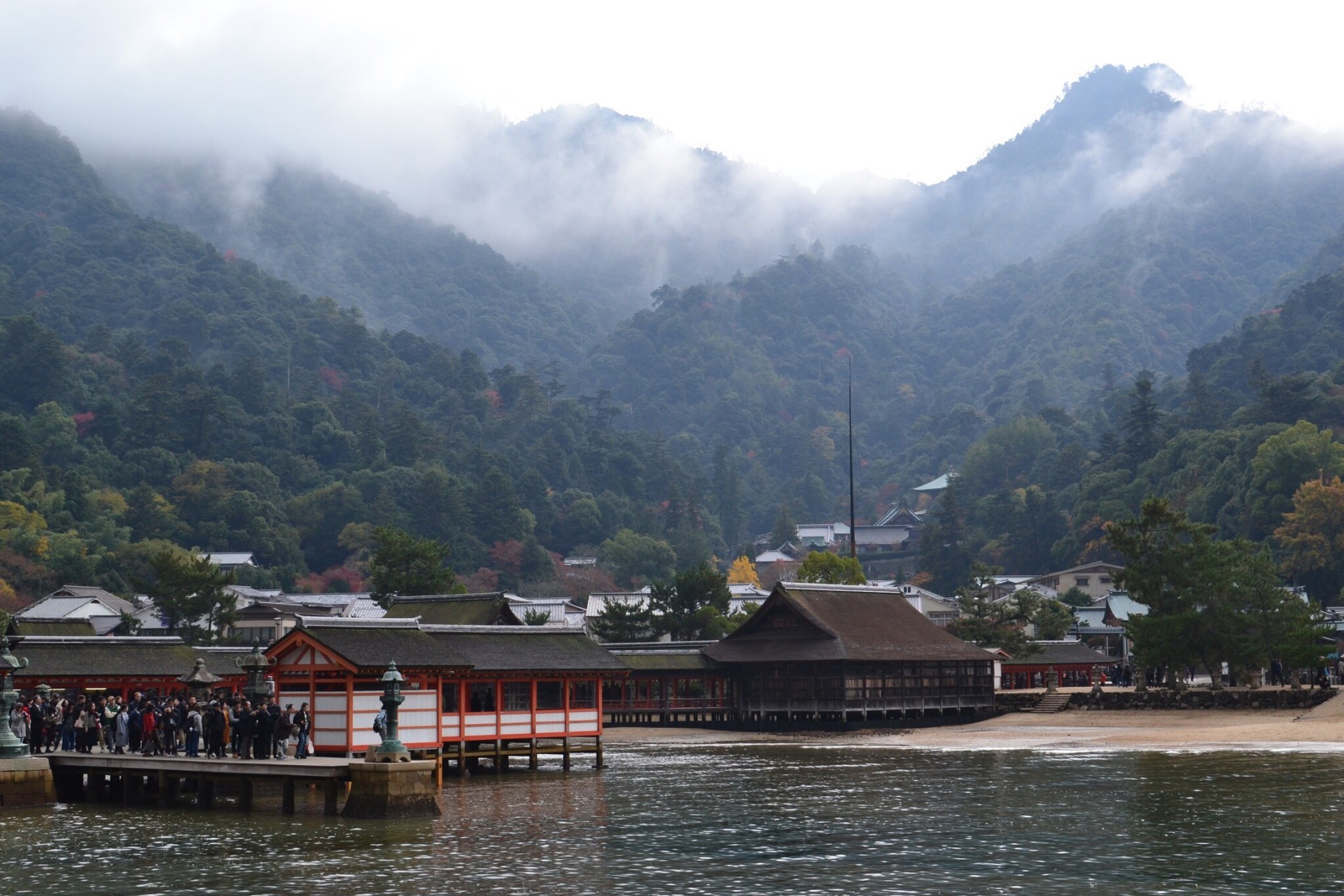 宮島 弥山 原始林を体感 やなつさんの宮島 厳島 弥山の活動データ Yamap ヤマップ