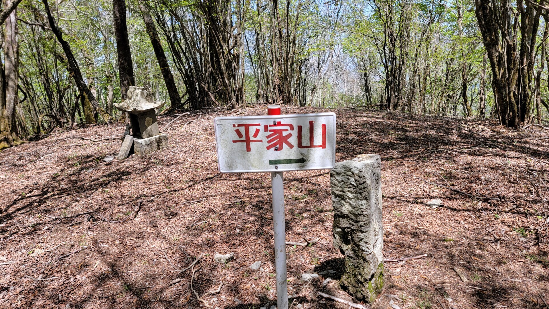 平家山 / とろさんの福万山・大祖山・平家山の活動データ YAMAP / ヤマップ