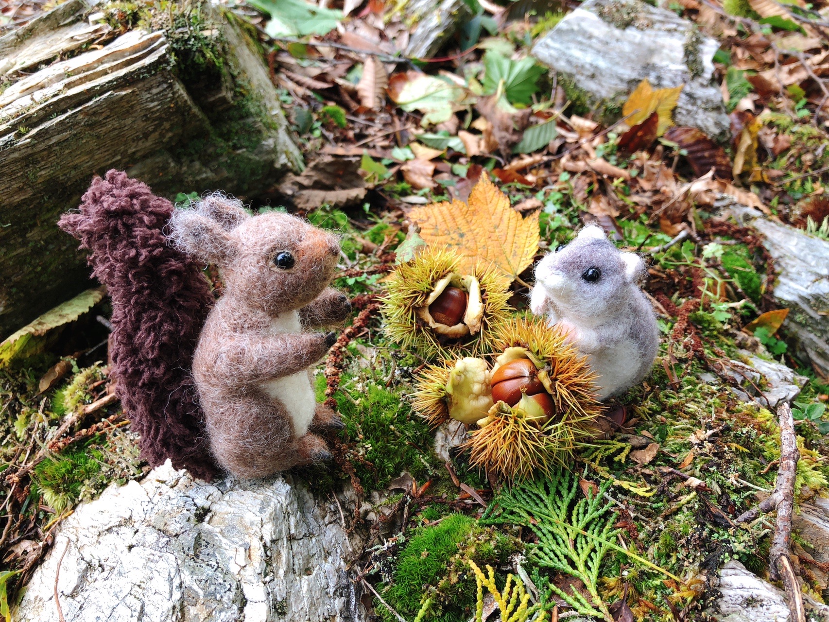 ななたん初めての中尾山に登る の巻 岳女ハムストりんこさんの剣山 徳島県 の活動日記 Yamap ヤマップ