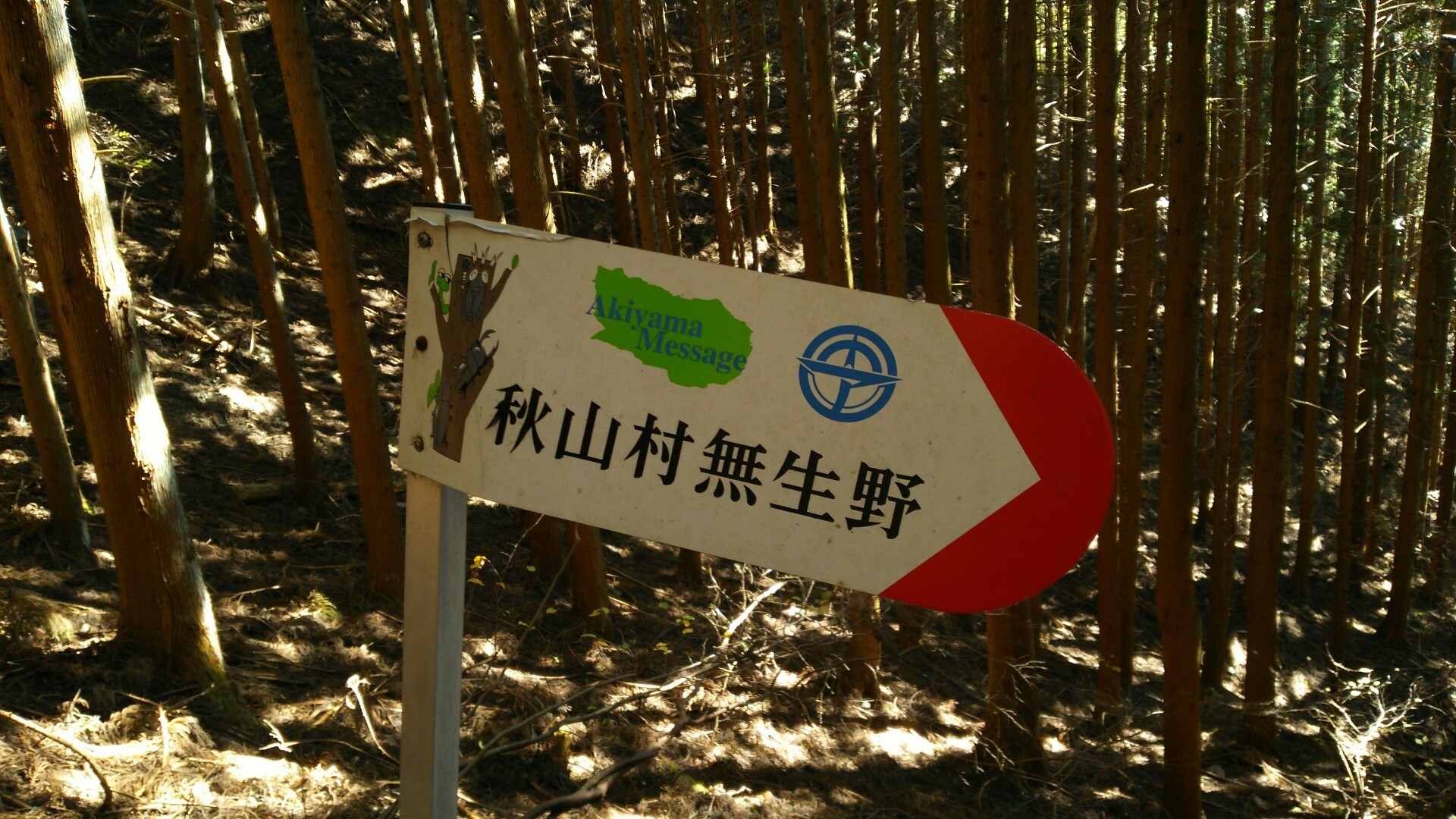 道志 秋山山稜の山と峠 穴路峠 天神山 矢平山 大地峠 S Myak エリゴンズさんの倉岳山 高畑山 九鬼山の活動日記 Yamap ヤマップ