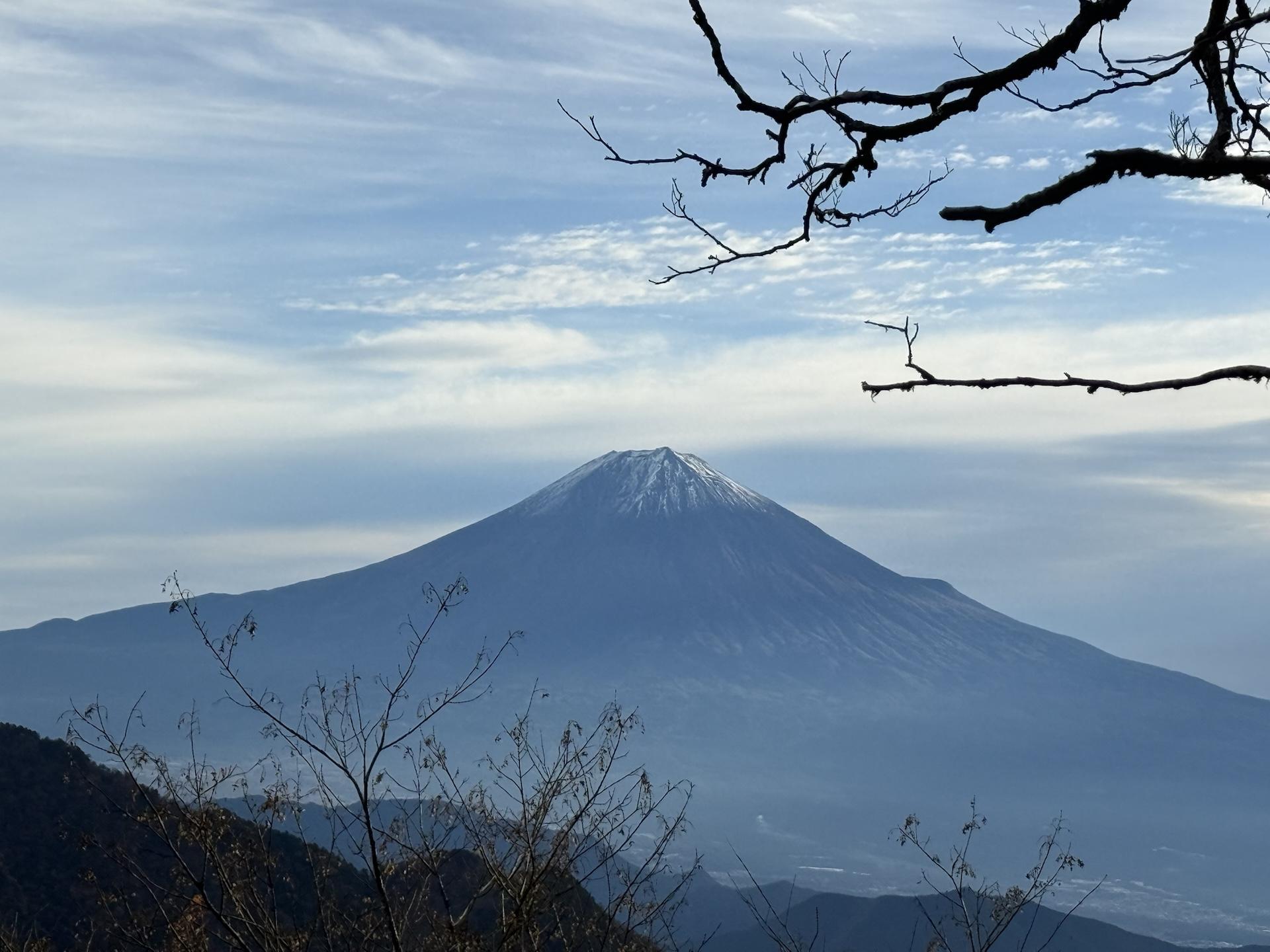 仏谷山・うつろぎ山・青笹山 / シラスさんの青笹山の活動データ | YAMAP / ヤマップ