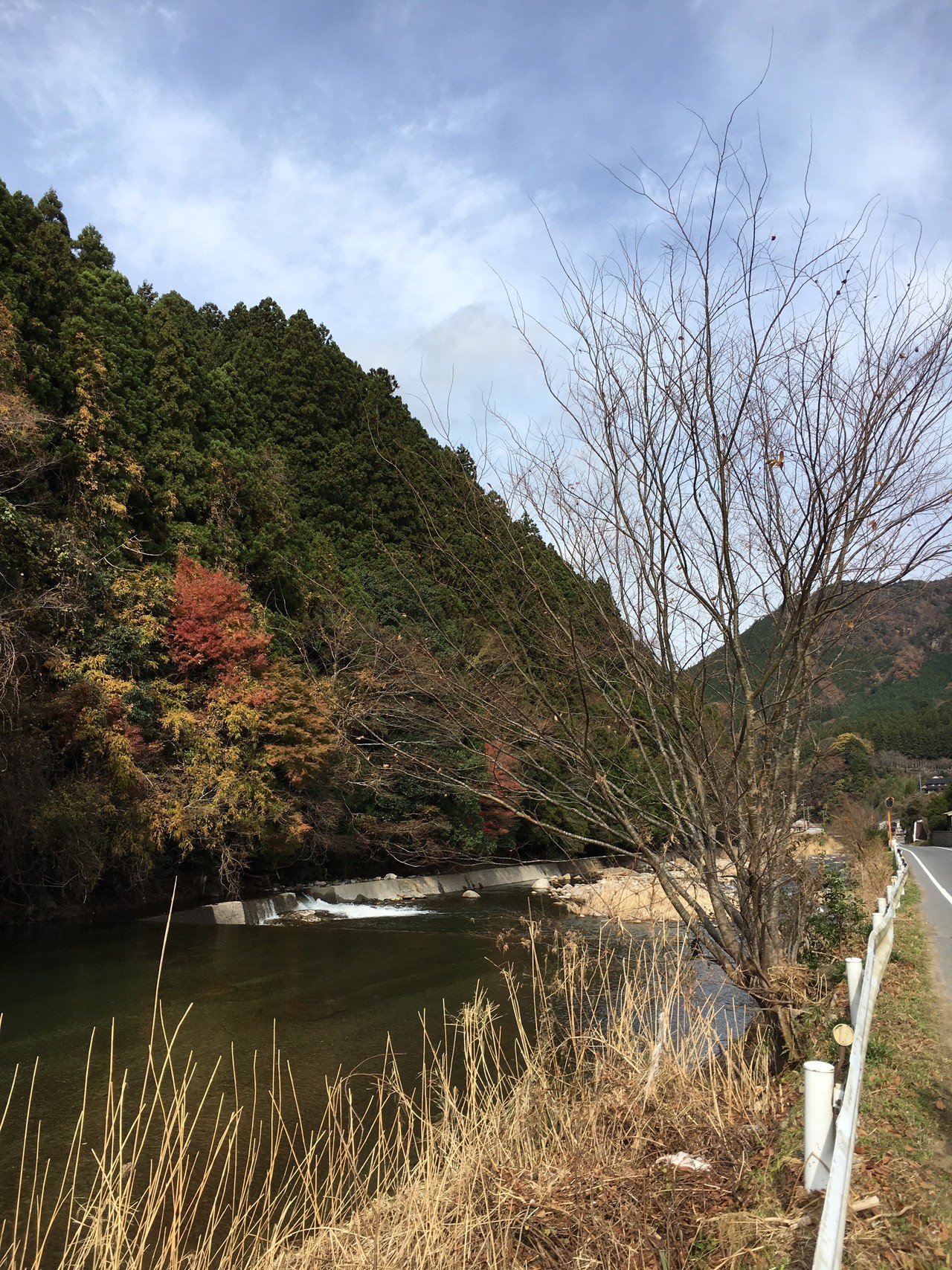 雨の曽爾高原 Asaさんの倶留尊山 曽爾高原 古光山の活動日記 Yamap ヤマップ