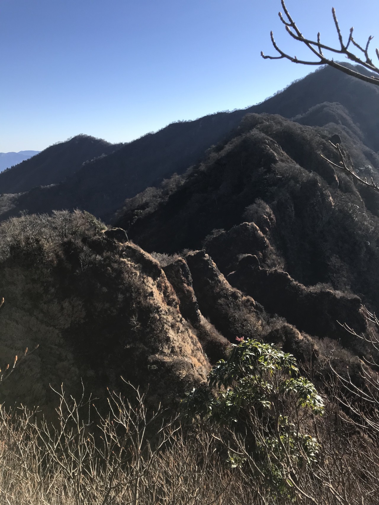 愛鷹山 鋸岳 位牌山のギザギザコース わたさんの愛鷹山 大岳 黒岳の活動データ Yamap ヤマップ