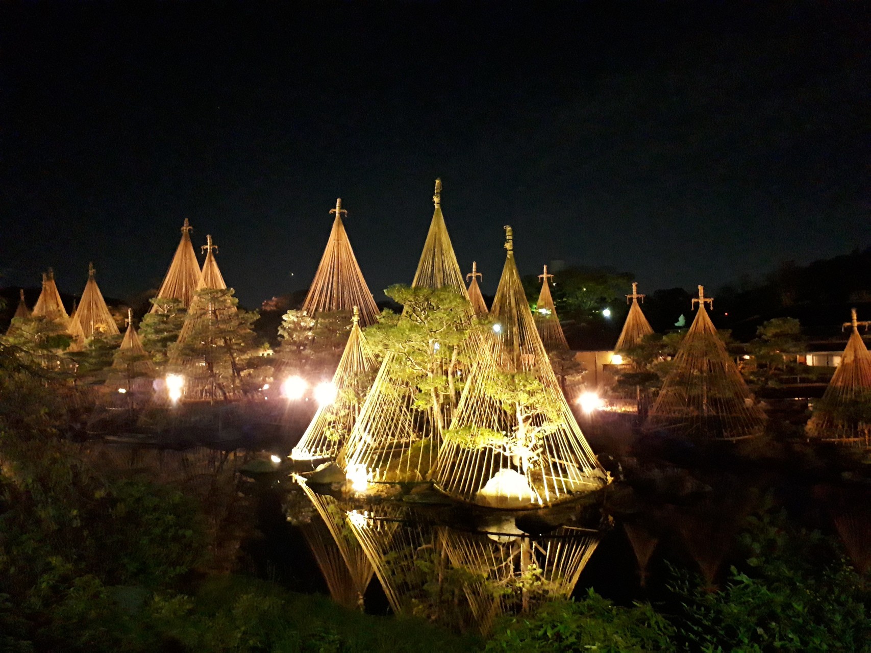 名古屋で紅葉狩り 徳川園と白鳥庭園紅葉ライトアップ 花火さんの名古屋市の活動データ Yamap ヤマップ