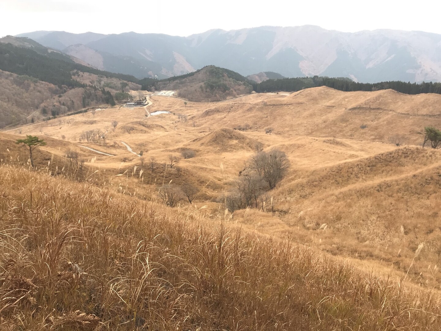 峰山高原〜砥峰高原ハイキング(晩秋) / おひやさんの砥峰高原・峰山高原の活動データ YAMAP / ヤマップ