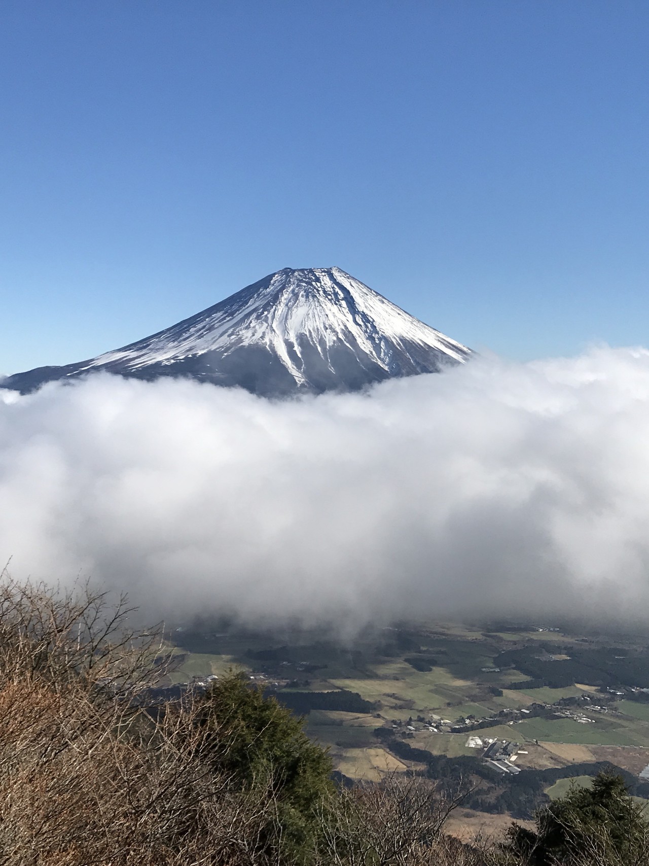 絶景富士山が見える毛無山 竹ちゃんさんの毛無山 雨ヶ岳 竜ヶ岳の活動データ Yamap ヤマップ