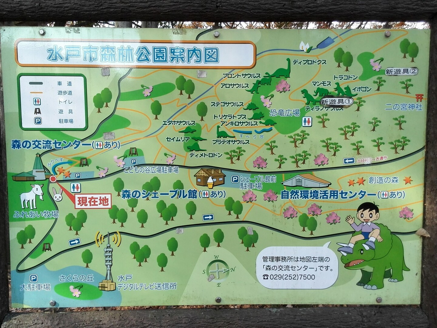 水戸森林公園 紅葉散歩と動物とのふれあい なお さんの水戸市の活動日記 Yamap ヤマップ