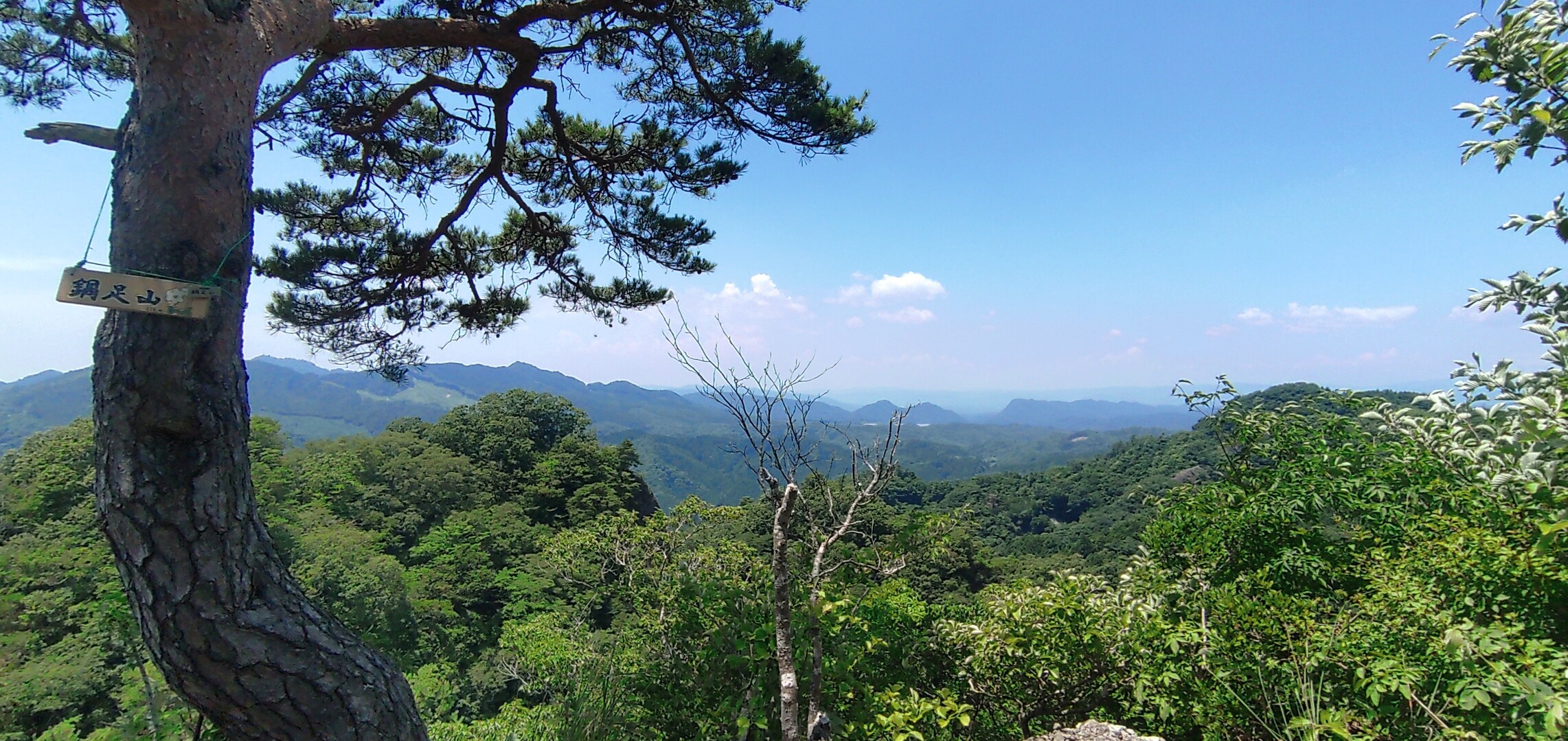 黒沢山・鍋足山（三角点峰）・鍋足山 / オレガンコさんの鍋足山の活動データ YAMAP / ヤマップ