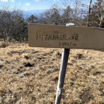 ココものすごい暴風でした