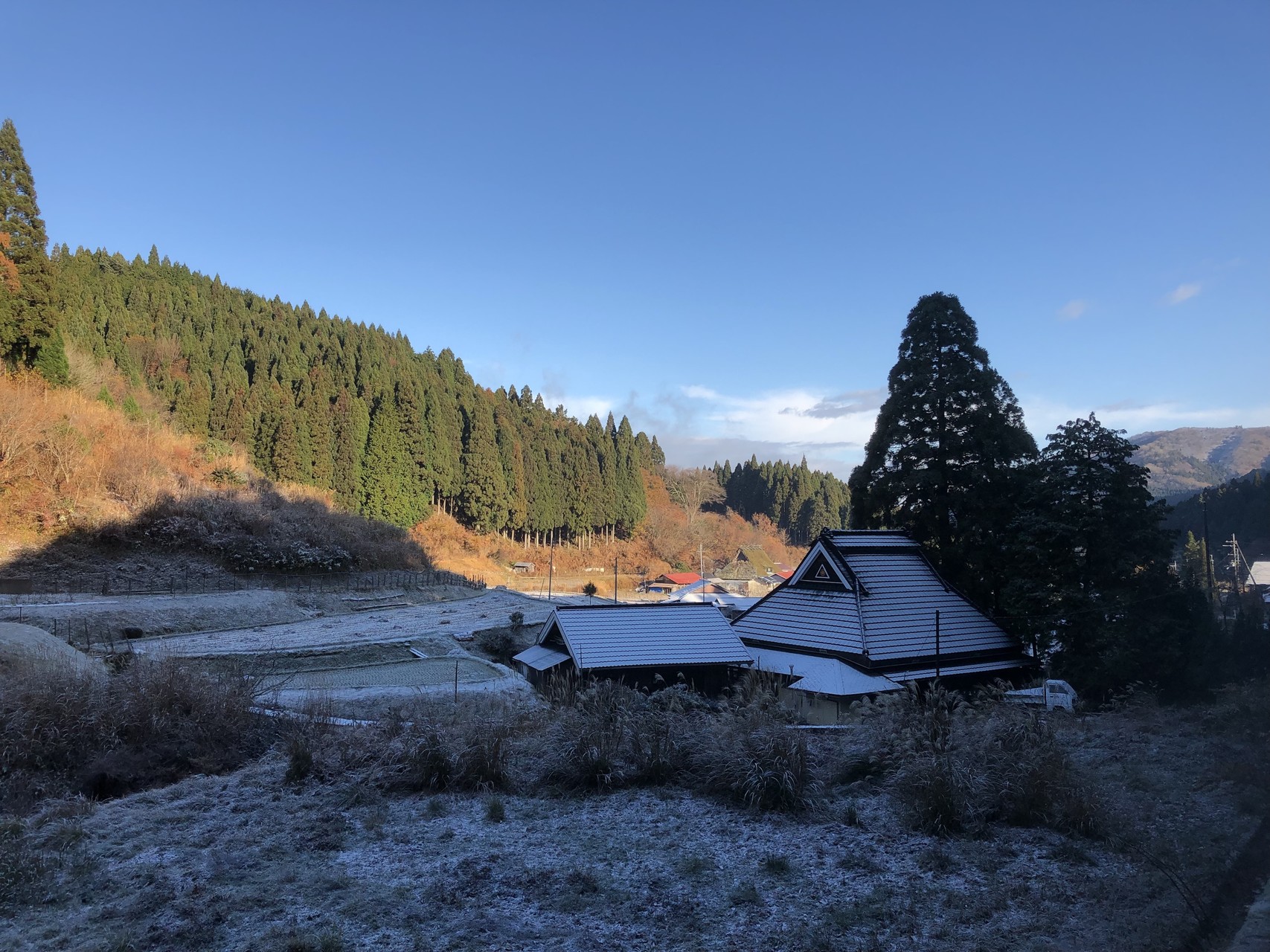 花背の三本杉と峰定寺 Nobuさんの峰床山 鎌倉山の活動データ Yamap ヤマップ