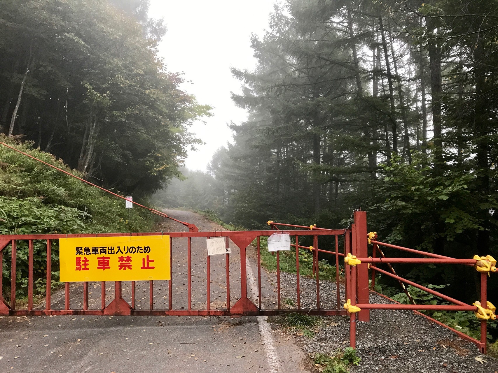 小河内岳・烏帽子岳へ / ヤマジィさんの塩見岳・権右衛門山・蝙蝠岳の活動日記 | Yamap / ヤマップ