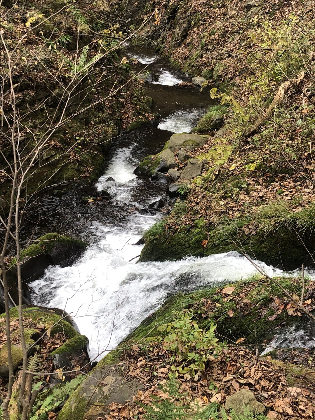 古道を行く 濃昼 ごきびる 山道 Atsushi Sさんの濃昼山道の活動日記 Yamap ヤマップ
