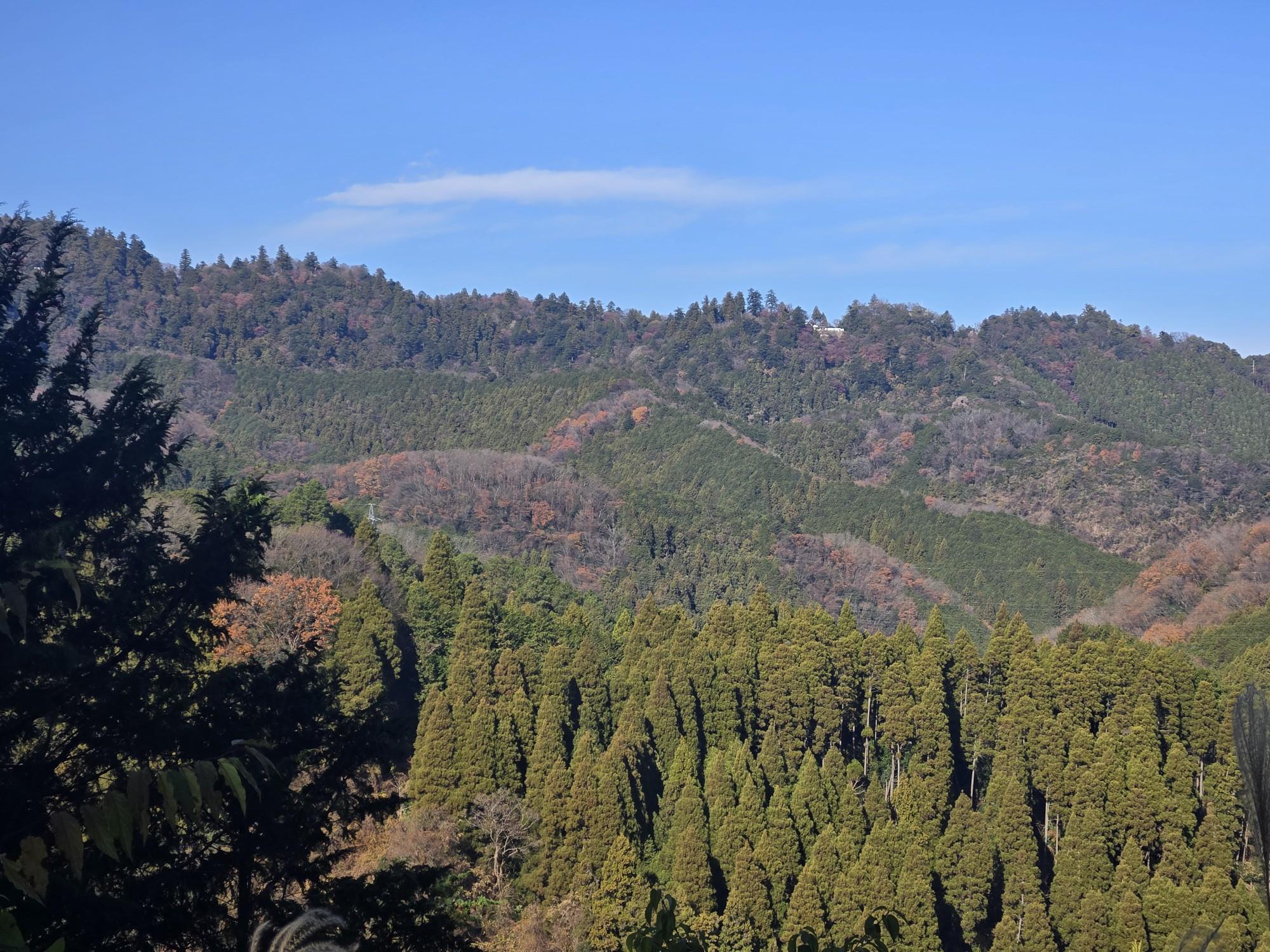 金刀比羅宮-草戸山-草戸峠-高尾山口駅 縦走コースの地図・登山ルート