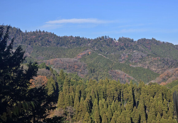 草戸山の最新登山情報 / 人気の登山ルート、写真、天気など