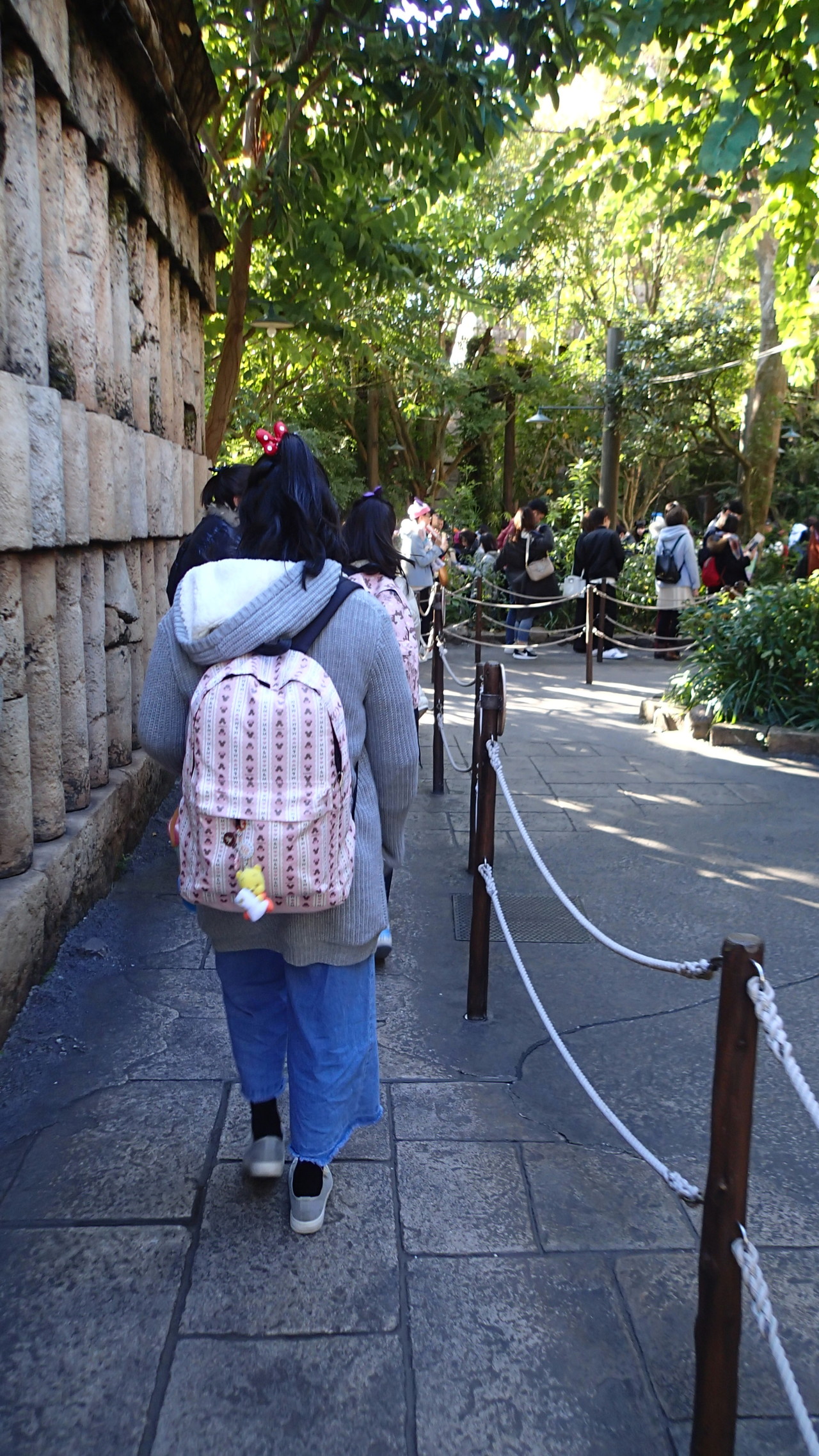 試練のディズニーシー てらてらさんの東京都23区 東エリアの活動日記 Yamap ヤマップ