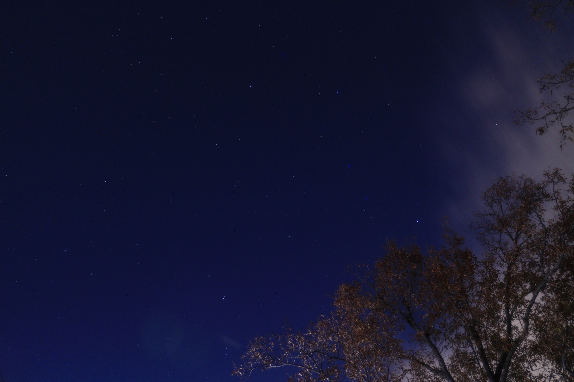 ドキュメント10時間 高尾山ナイトウォーク Kiyoさんの高尾山 陣馬山 景信山の活動データ Yamap ヤマップ