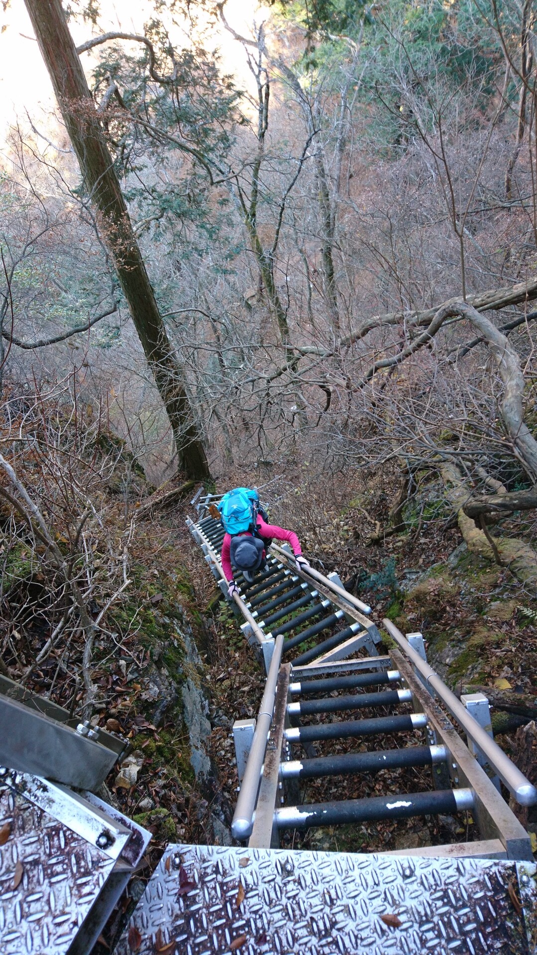 長い 梯子 槍ヶ岳登り隊の味方 こばじいさんの石裂山の活動データ Yamap ヤマップ