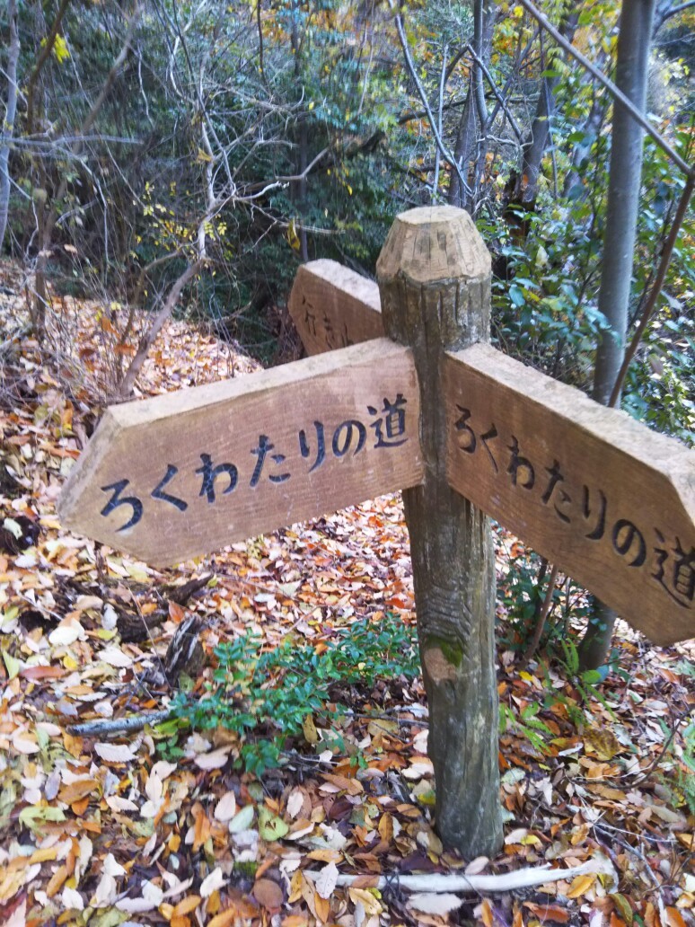 ろくわたりの道 二上山 北見岳 太子町総合体育館 344さんの金剛山 二上山 大和葛城山の活動データ Yamap ヤマップ