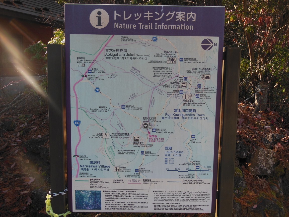 青木ヶ原樹海遊歩道 節刀ヶ岳 破風山 足和田山の写真44枚目 Yamap ヤマップ
