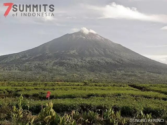 インドネシアで標高の高い山ベスト7 / フスニ mahameru12さんの インドネシアで標高の高い山ベスト7 / フスニ mahameru12さんの