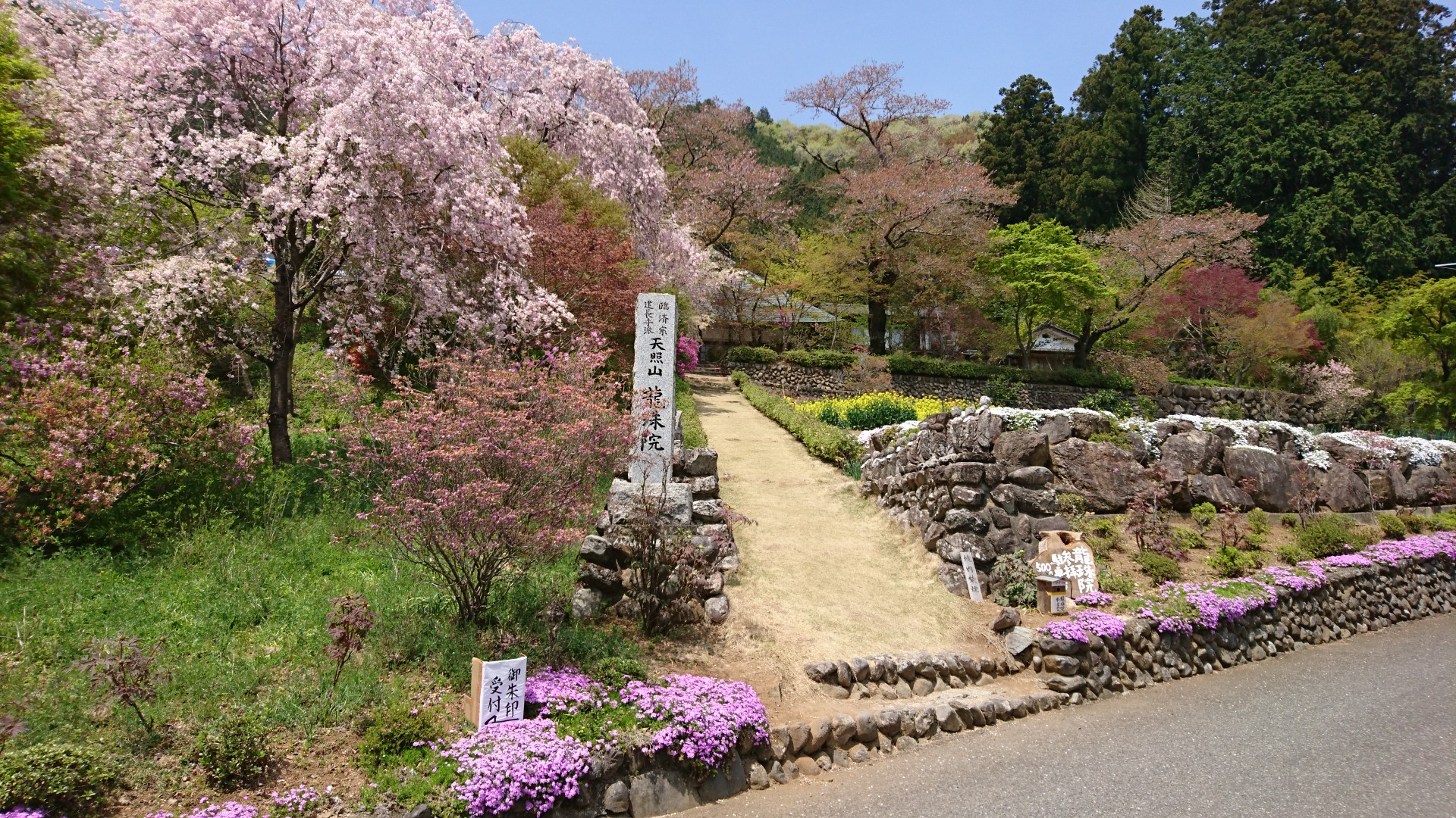 乙津 花の里 龍珠院 大悲願寺 のんびりお散歩 ともさんの浅間嶺 松生山の活動データ Yamap ヤマップ