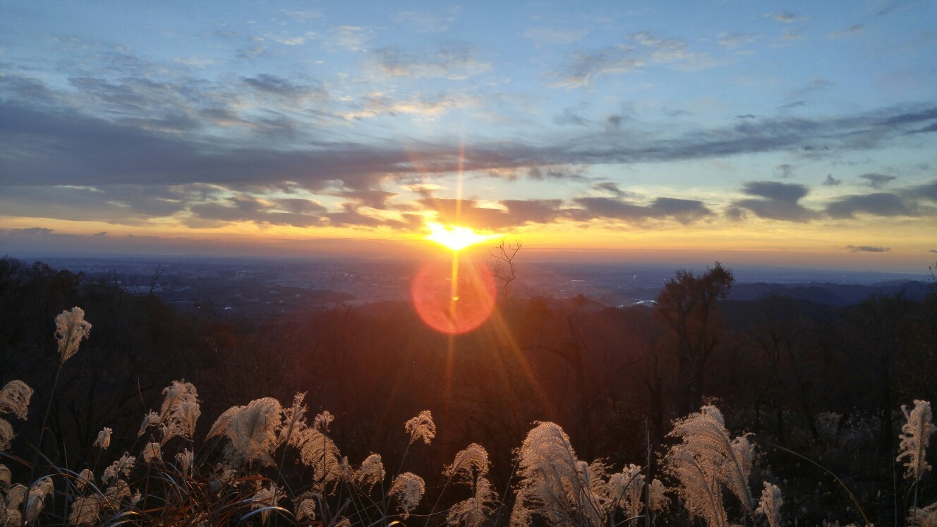 早朝高尾山攻略 八王子の夜明けぜよ ぽいっさんの高尾山 陣馬山 景信山の活動日記 Yamap ヤマップ