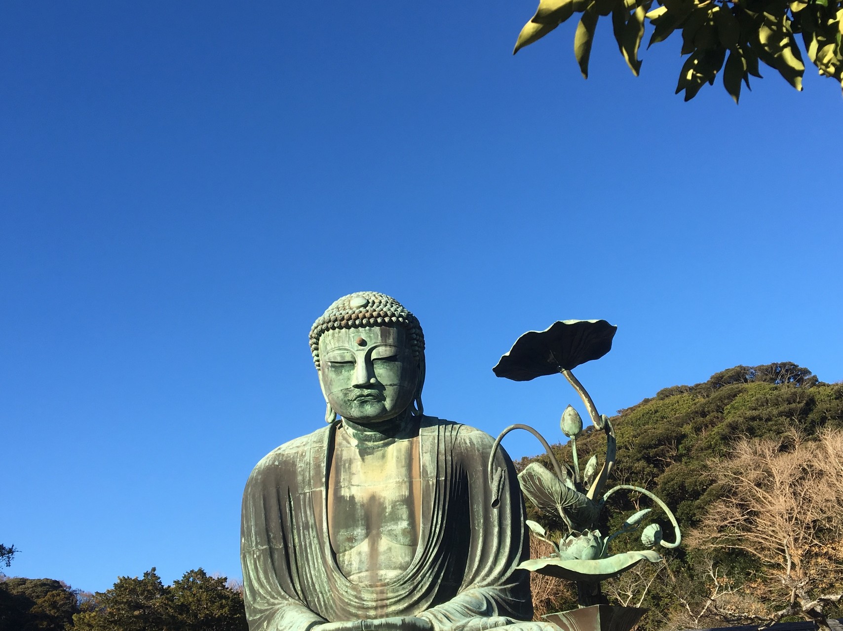 鎌倉大仏から長谷寺ライトアップ ポピー01さんの鎌倉アルプス 大平山 天台山 の活動日記 Yamap ヤマップ