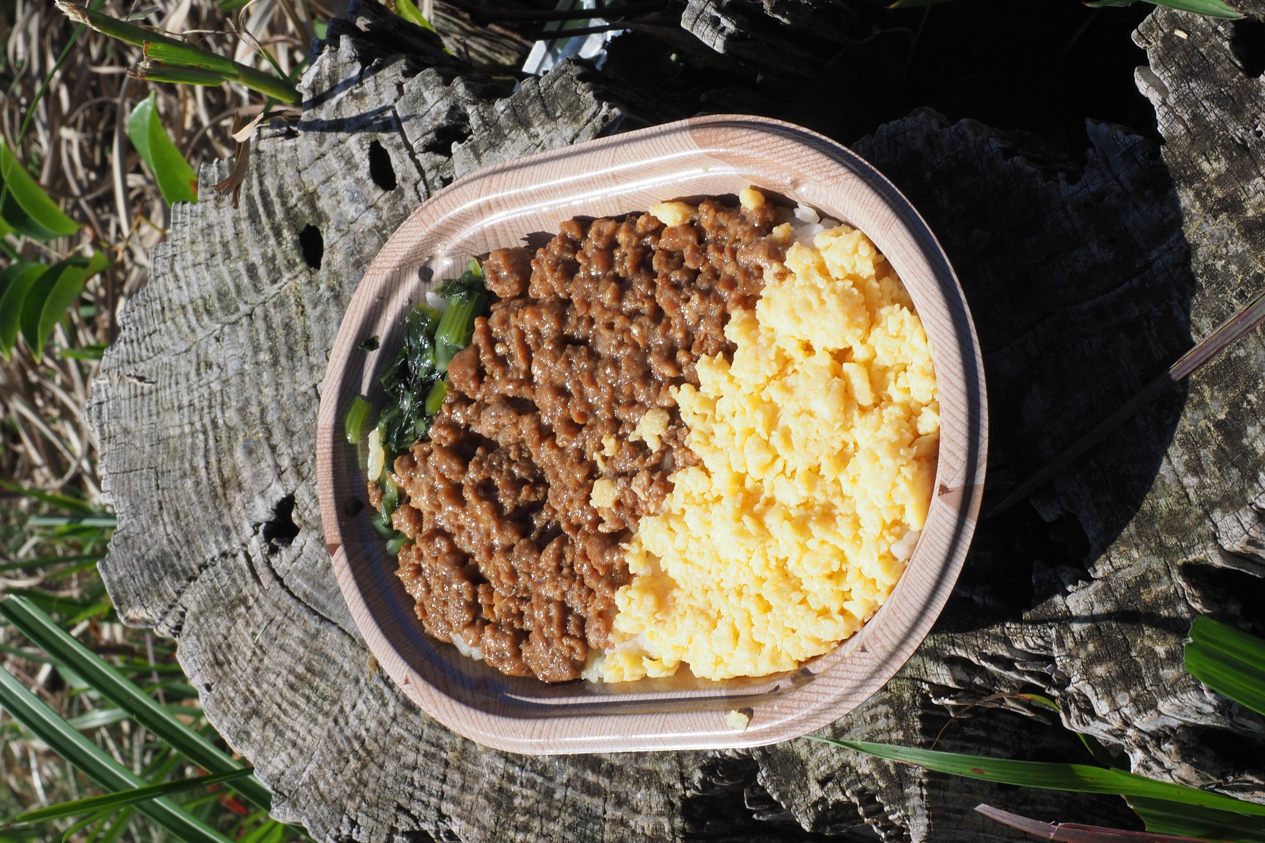 久々ゆっくりお昼の鶏そぼろ弁当