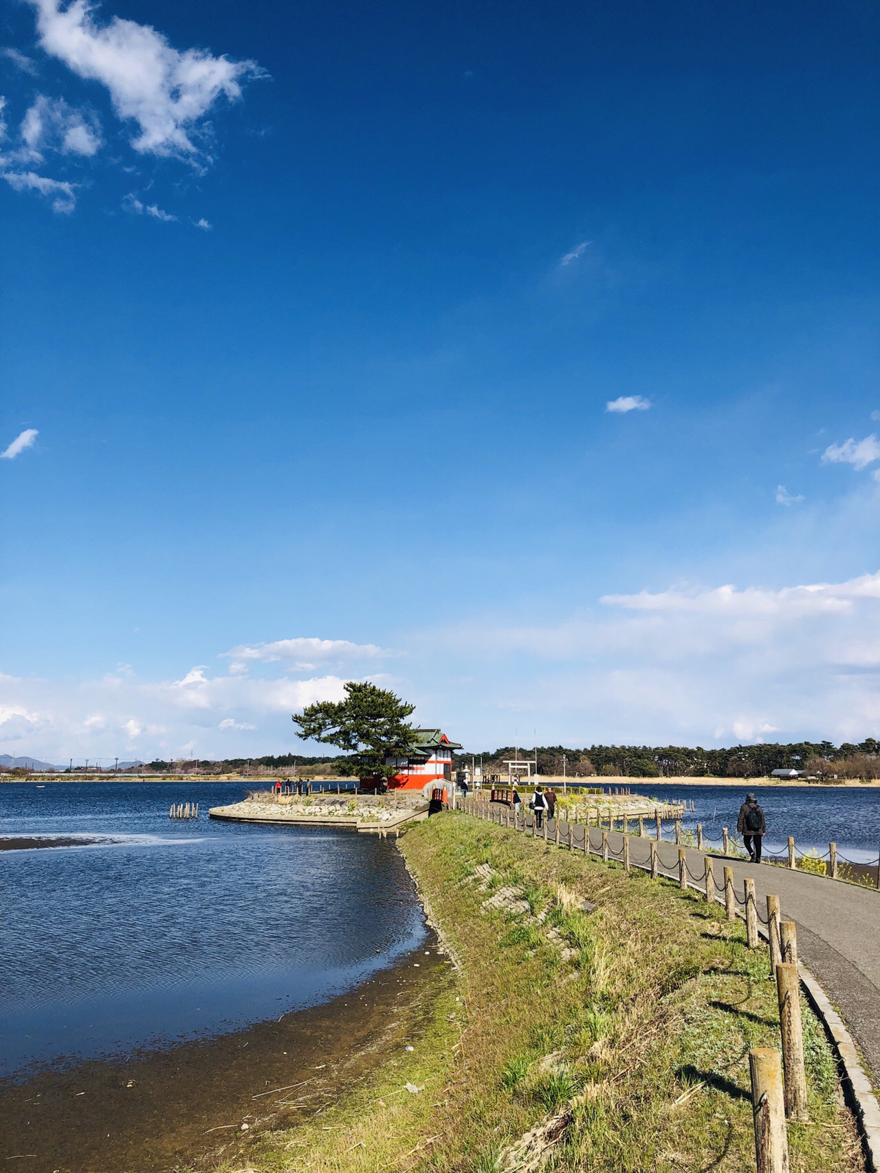 群馬県 館林市 多々良沼 とっぽさんの館林市の活動データ Yamap ヤマップ