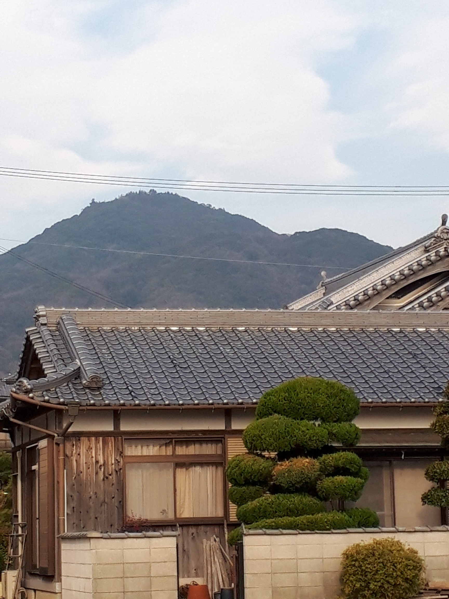 淡路島 洲本市 淡路巡礼第1番札所の千光寺の先山 さかちゃんさんの淡路島の活動データ Yamap ヤマップ