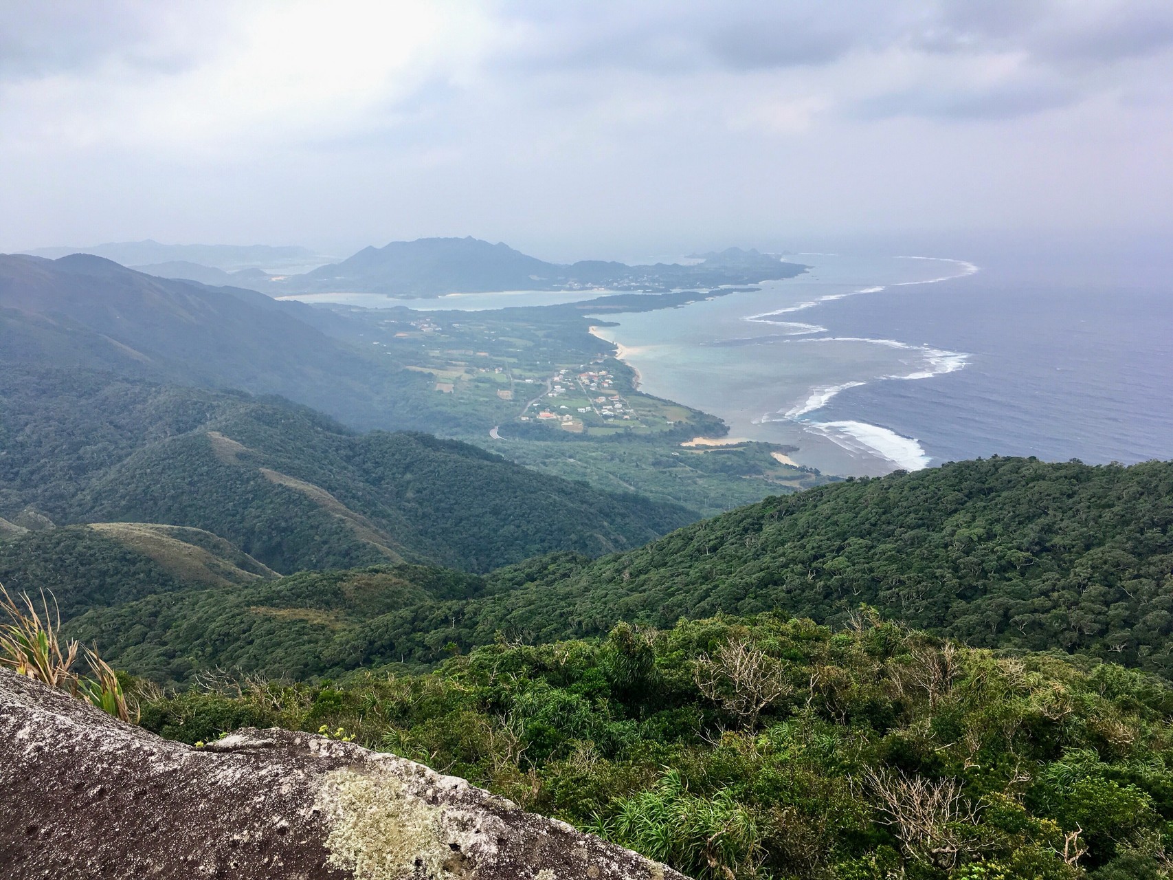 壮絶な藪漕ぎで撤退 桴海於茂登岳 いかポンさんの石垣島 南部の活動データ Yamap ヤマップ