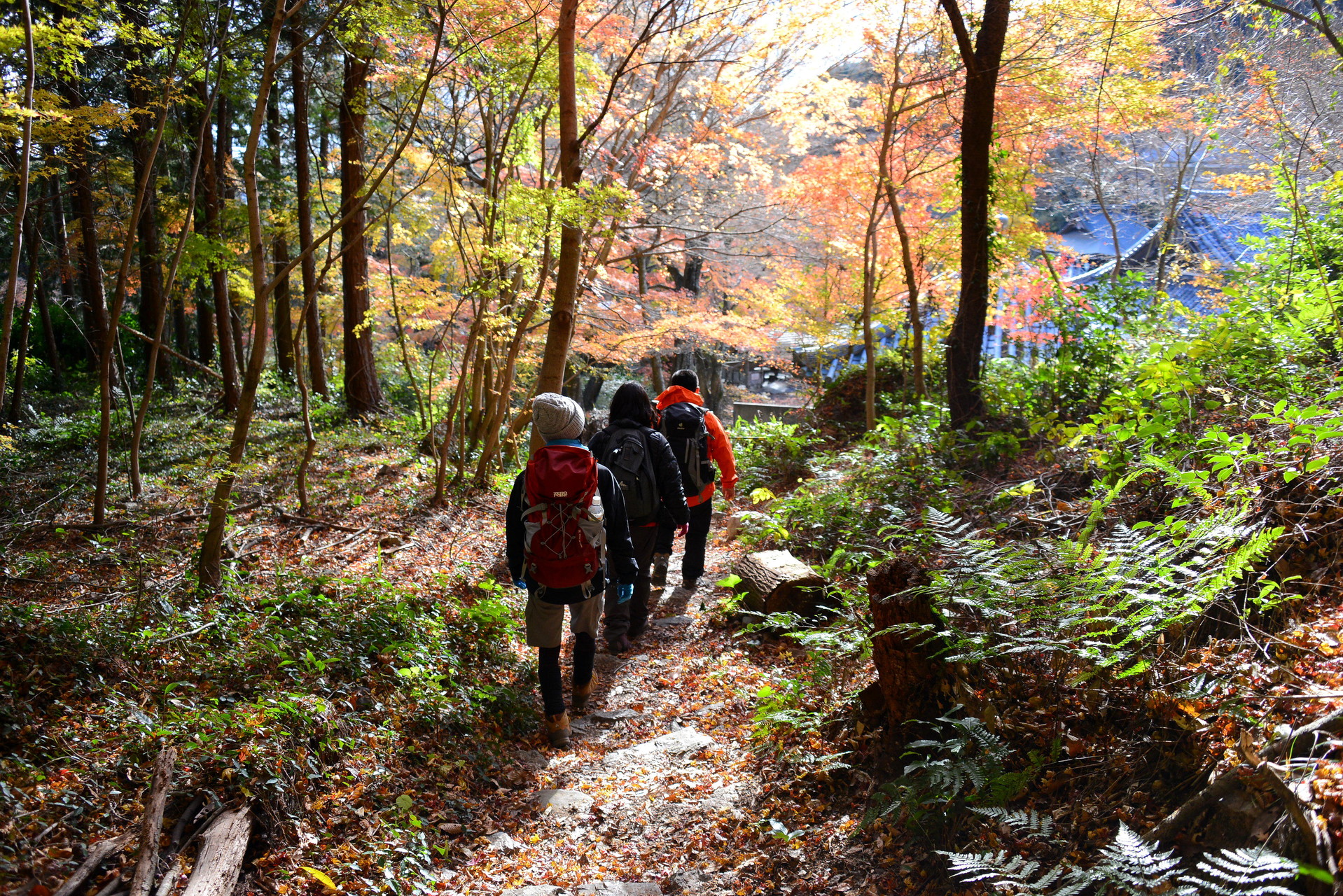 富士山を愛でるため湖西連峰へ With陽気な仲間たち ダイスケはんさんの湖西連峰 石巻山 坊ヶ峰の活動データ Yamap ヤマップ
