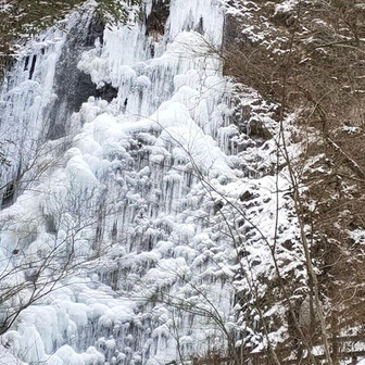 ピンポンパール