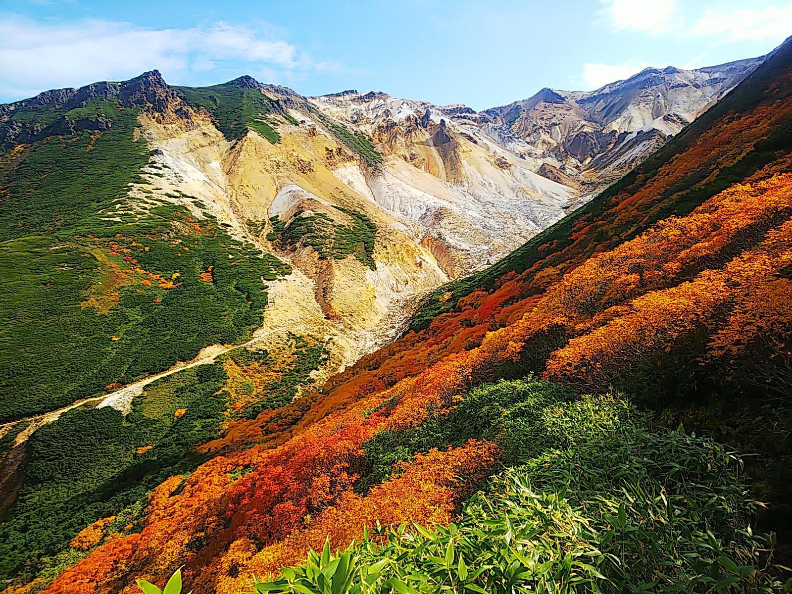 紅葉を探しに 富良野岳 もりしん さんの十勝岳 富良野岳 美瑛岳の活動日記 Yamap ヤマップ