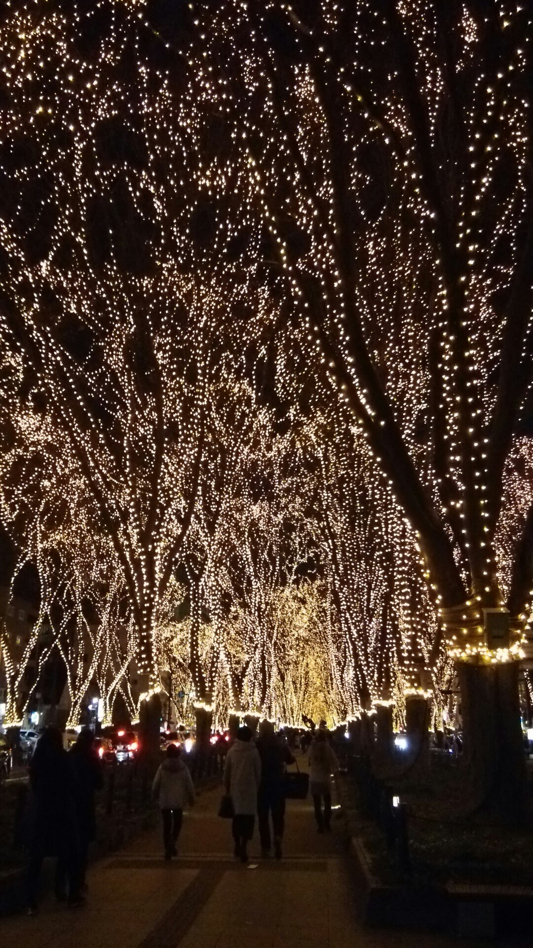 仙台光のページェント17冬 ぬのさんの仙台市の活動データ Yamap ヤマップ