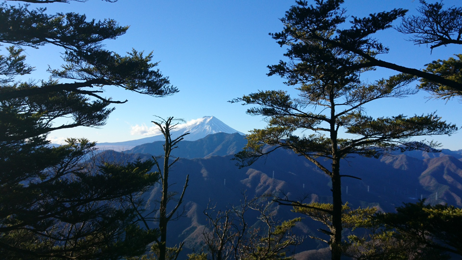 山納め 寂ショウ尾根から滝子山周回 ひろさんの滝子山 大谷ヶ丸 笹子雁ヶ腹摺山の活動データ Yamap ヤマップ