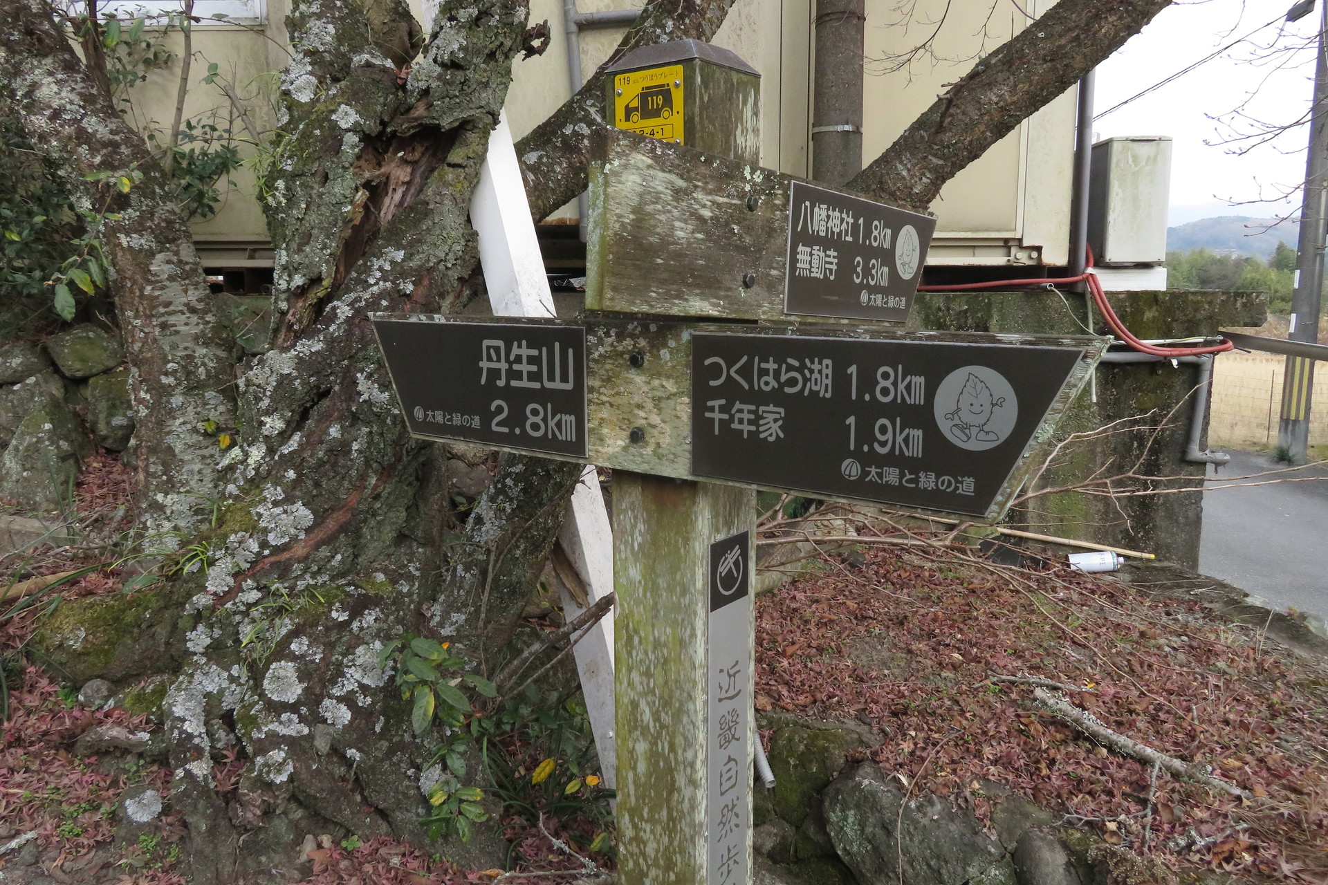 関西百名山「帝釈山」を登る。 / 山のオッサンさんの丹生山・帝釈山 