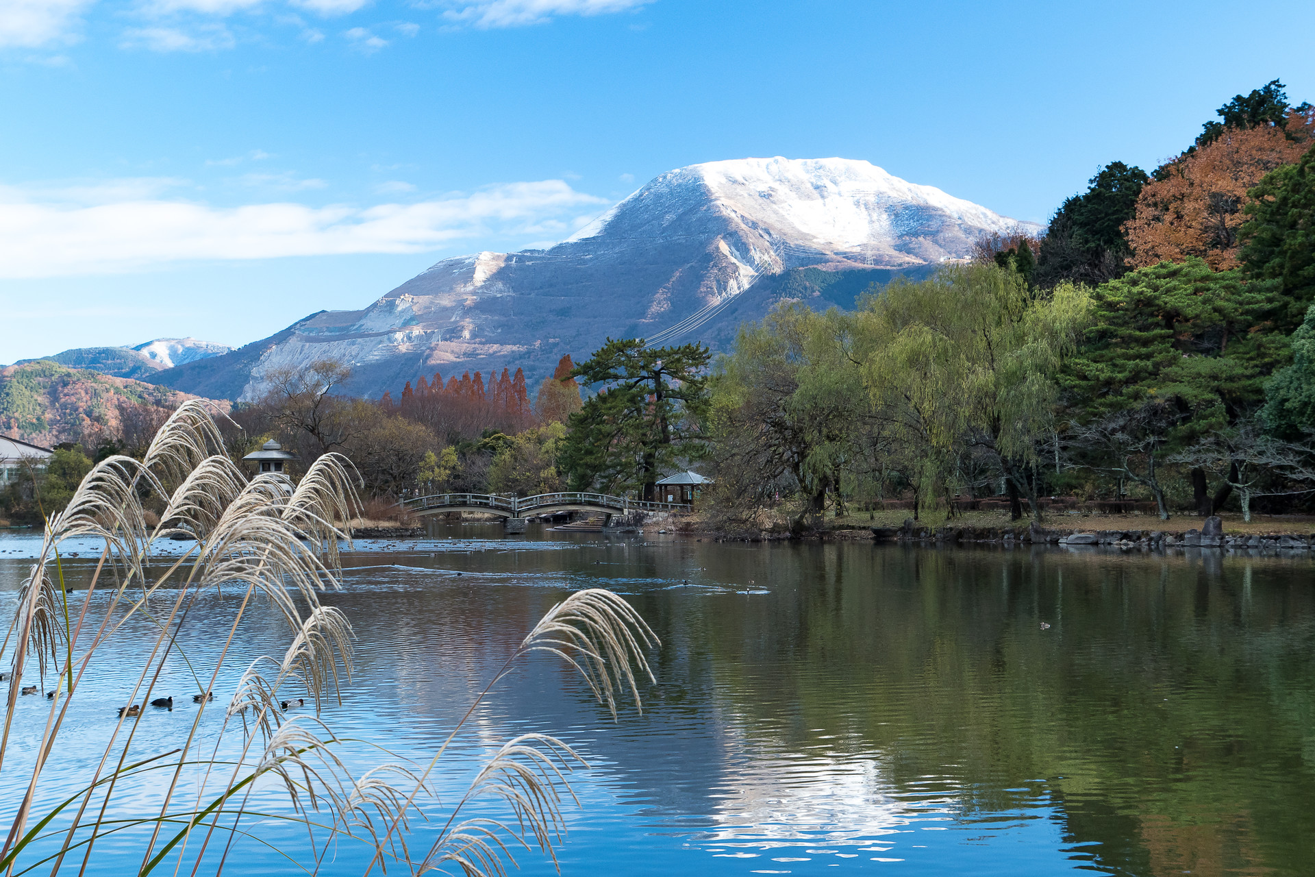 三島池と源氏山 Gamaさんの中山道 醒井宿 番場宿 鳥居本宿 高宮宿 の活動データ Yamap ヤマップ