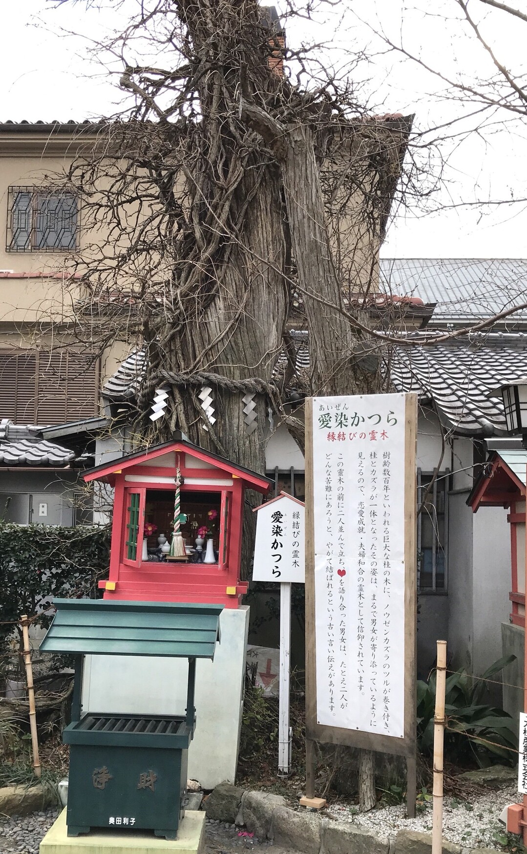 なにわ街道 上町台地 難波宮跡 天王寺七坂めぐり 薮山雲水さんの大阪市の活動日記 Yamap ヤマップ