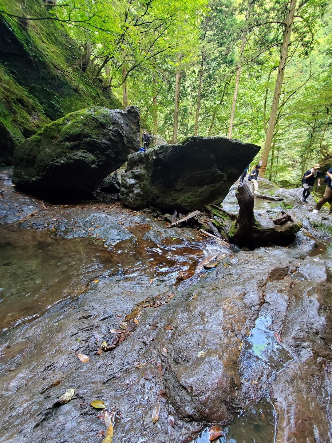 御岳山 七代の滝 ロックガーデン 大岳山 御岳山 御前山の写真11枚目 滑るので気をつけて 死亡事故もあったそ Yamap ヤマップ