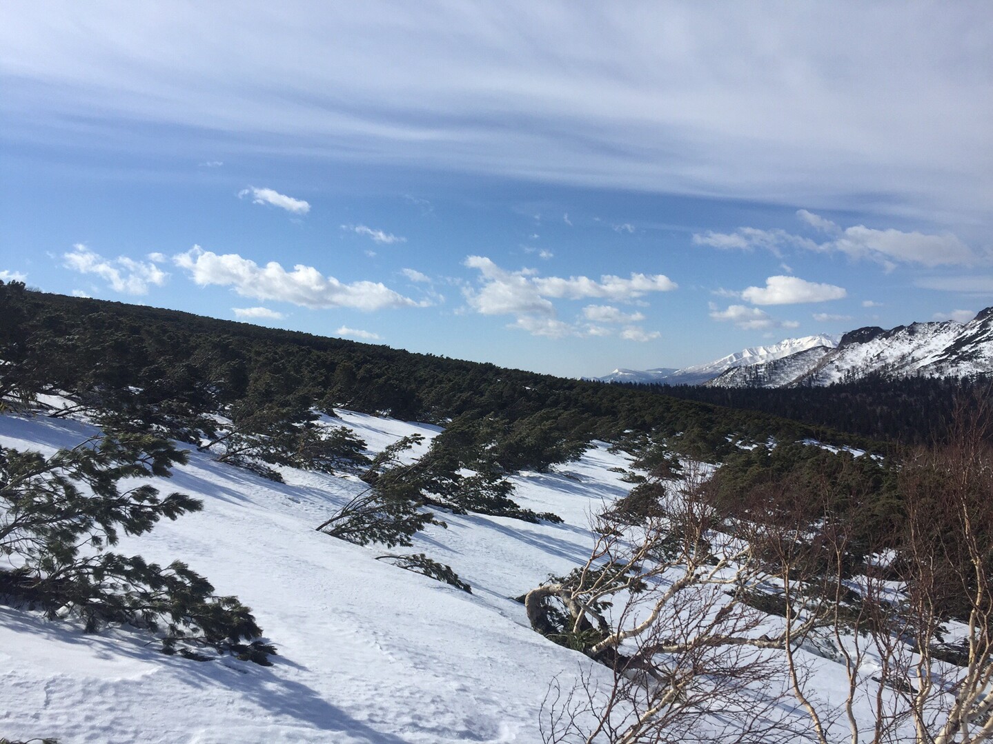 春山だよ 海別岳 03 22 Gカムイさんの海別岳の活動日記 Yamap ヤマップ