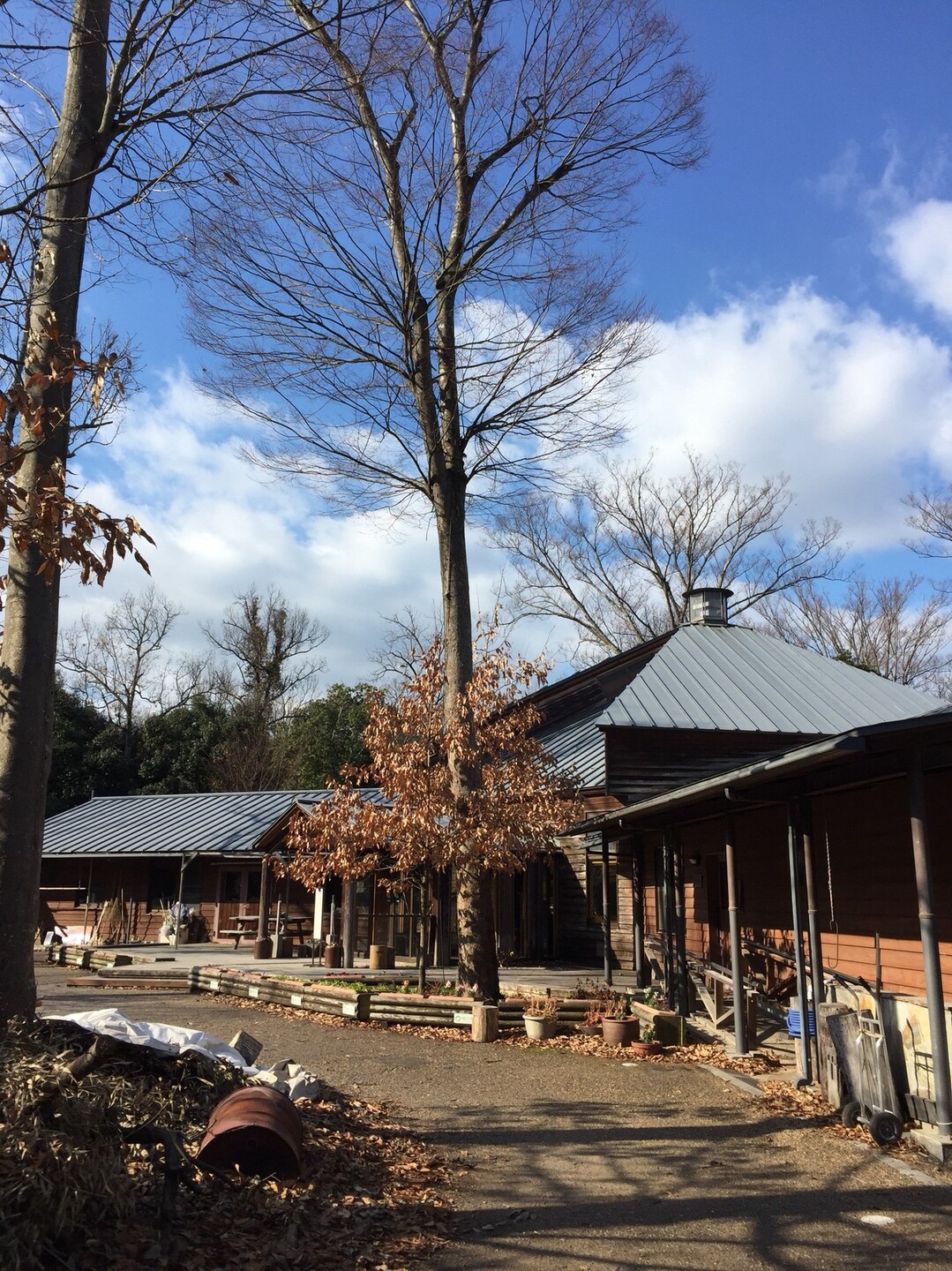 河辺生きもの森散策 たまちゃんさんの箕作山 太郎坊山の活動日記 Yamap ヤマップ
