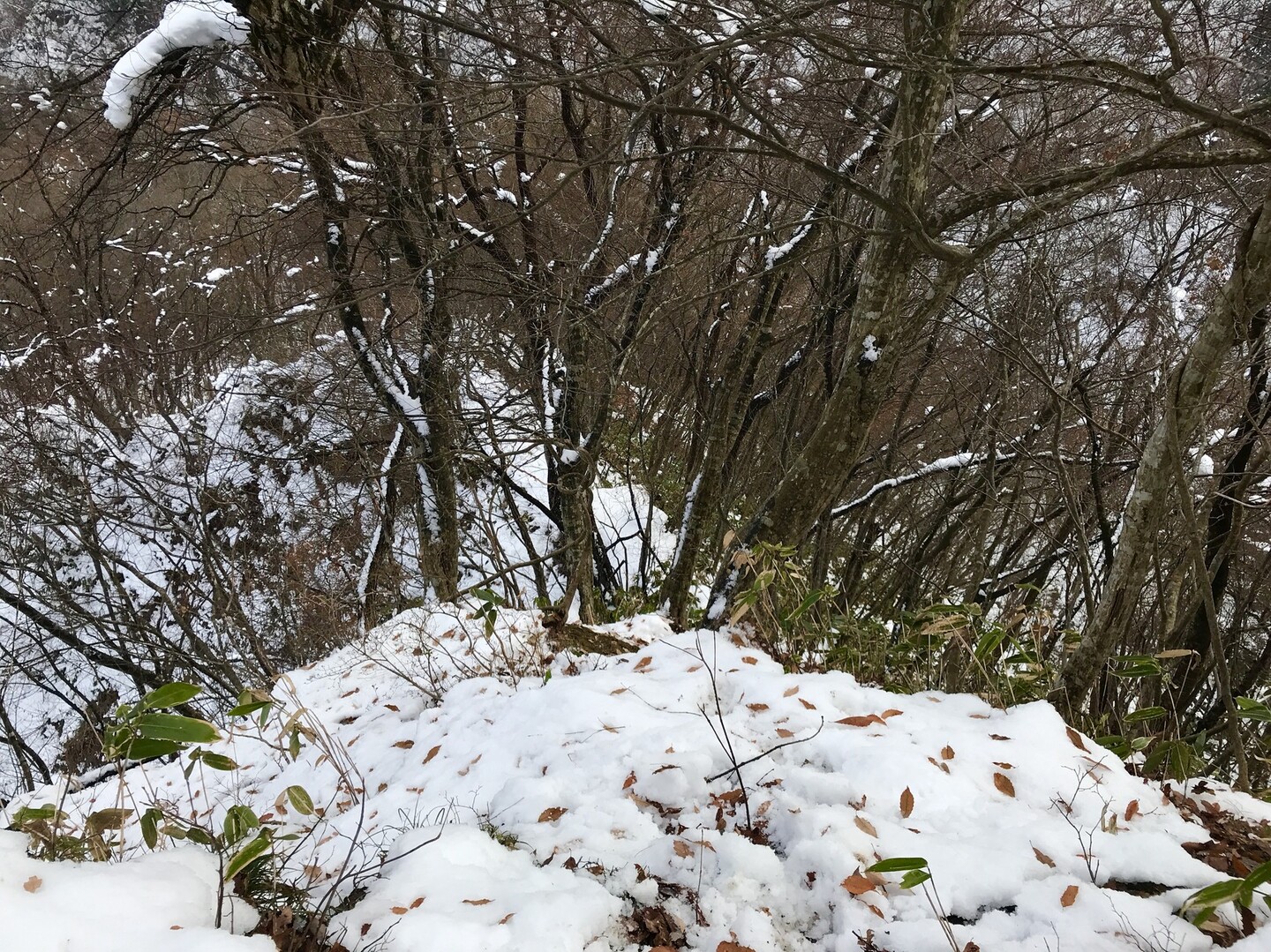 霊山岩谷 山形県中山町 はなさんの山形市の活動日記 Yamap ヤマップ