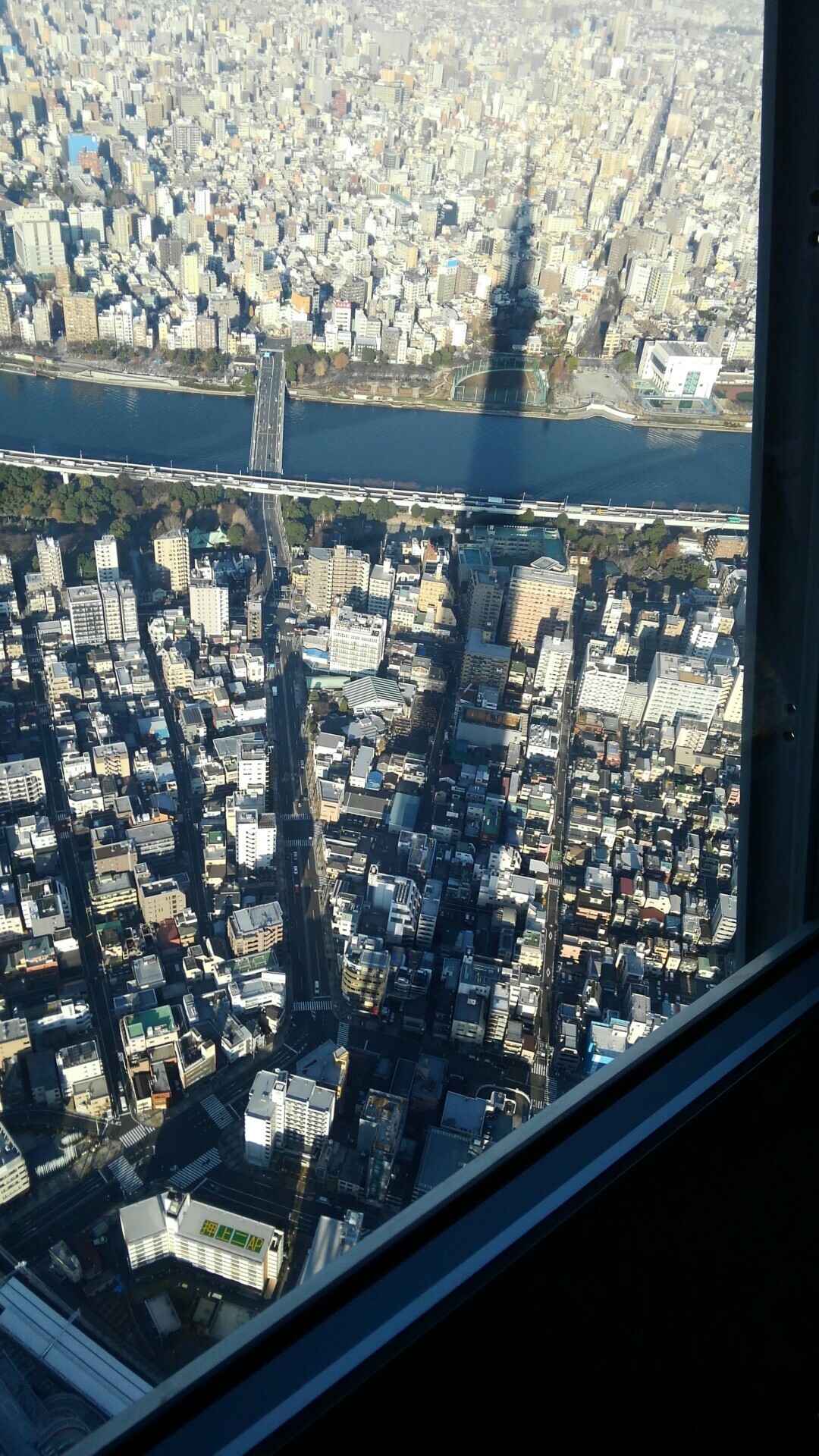 都内観光 きょーちゃんさんの東京都23区 中央エリアの活動日記 Yamap ヤマップ